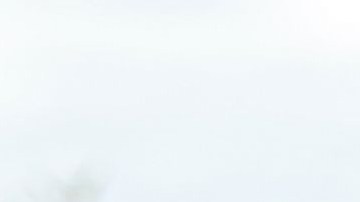 'Amor Eterno' de Univision llegó a su fin.