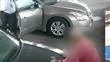 El video es perturbador.