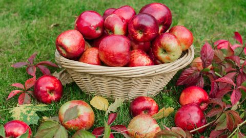 Manzanas.