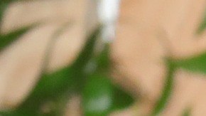 gwyneth paltrow auto