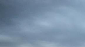 Los asistentes solo podían bajar de los autos para ir al baño