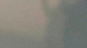 Novak y Jelena Djokovic