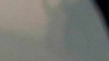 Novak y Jelena Djokovic