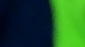 El Barcelona necesita rejuvenecer su plantilla.