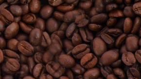 Foto: Public Domain Pictures/Pixabay