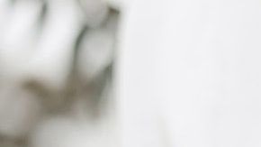 Comenzó como una amistad y terminó en una boda.