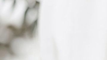 Comenzó como una amistad y terminó en una boda.