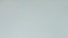 Los insectos en los sueños transmiten un mensaje del subconsciente.