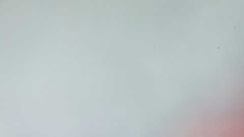 Los insectos en los sueños transmiten un mensaje del subconsciente.
