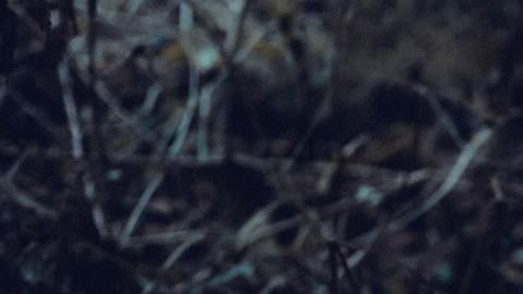 Descubre cómo deshacer un acto de magia negra.