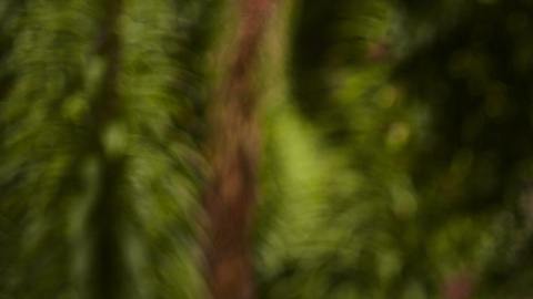 Hay signos que poseen un fuerte carácter.