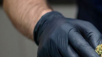 Se cree que el producto tiene un mercado potencial de 18,000 millones de dólares