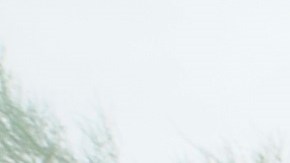 La mascarilla ayuda a protegerse del coronavirus.