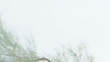 La mascarilla ayuda a protegerse del coronavirus.