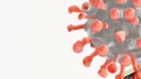 El IRS ya dio instrucciones de lo que se debe hacer en estos casos.