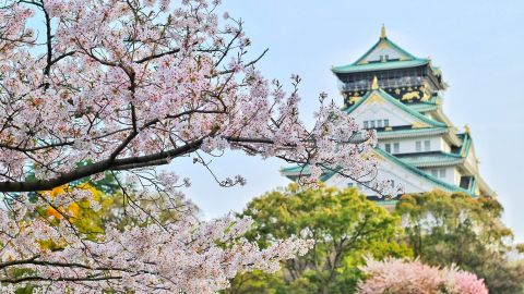 Una bella postal de tierras japonesas.