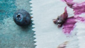 Galletas de berries.