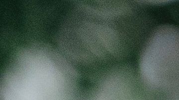 Un cliente deja propina de $1,000 dólares en restaurante de Nueva Jersey