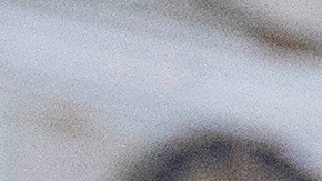 El republicanos asegura que sí se ha estado cubriendo la cara.