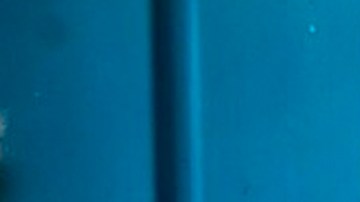 Paulina Goto y Danilo Carrera protagonizan "Vencer el Miedo".