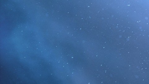 Los planetas influyen en todos los signos.