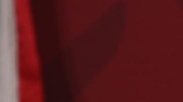 El canciller destacó que México participa en los esfuerzos del desarrollo de la vacuna.