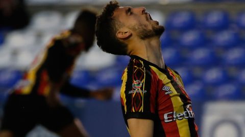 Leones Negros