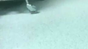 Personal del Hospital Universitario Miguel Servet de Zaragoza atendió al joven.