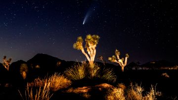 El cometa NEOWISE sobre el Joshua Tree National Park.