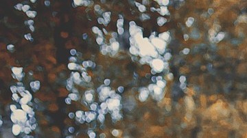 Cada signo zodiacal tiene un poder mágico.