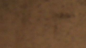 El Concejo de Los Ángeles demanda justicia para los padres e hijos separados. (Getty Images)