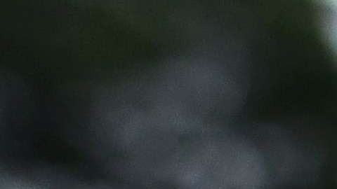 La policía investiga los hechos. Imagen de archivo.