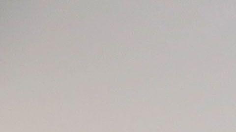 El senador Marco Rubio confirma reunión con excongresista arrestado.