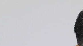 Omar García Harfuch