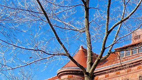 ¿Es seguro volver a las aulas?