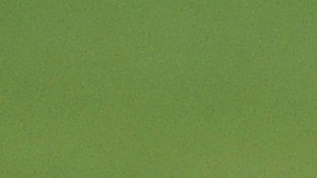 hulk brasil transformacion fisica