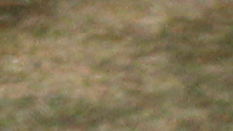 El único jugador que no aparece en ninguno de los festejos es Carlos Marchena.