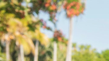 Cala asegura que su programa combinará el periodismo y el entretenimiento positivo.