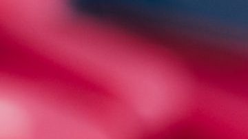 celulares nuevos 2020 amazon