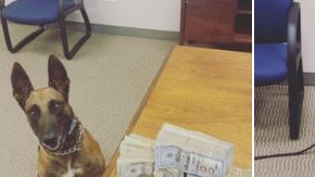 Los miles de dólares que fueron descubiertos por Kato.