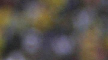 El eterno Iván Kaviedes.