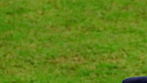 Luka Jovic