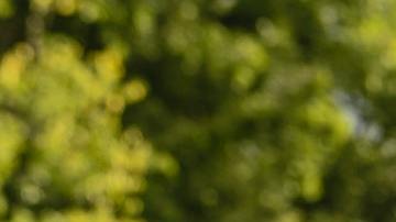 Las mujeres de estos signos son muy cautivadoras.