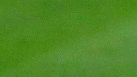 Leo Messi está visiblemente frustrado.