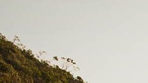 Tesla Model S. / Foto: Cortesía Tesla.