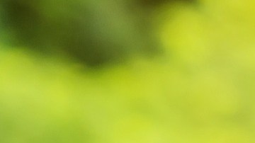 Conoce las pistas que auguran suerte en el dinero.