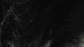 El 91% de las víctimas de asalto sexual en EEUU son mujeres.