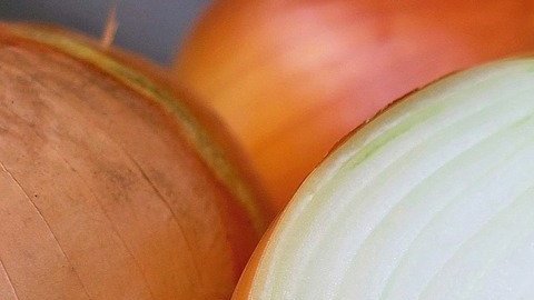 cebolla