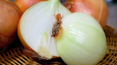 cebolla