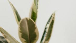 Posición correcta para equilibrar los chakras.